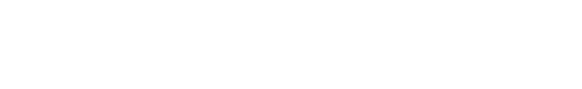 Logo Liiontek